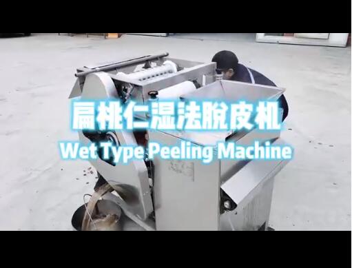 扁桃仁濕法脫皮機